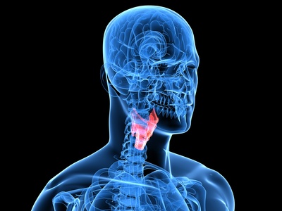 Röntgenaufnahme - menschliche Kopf mit markiertem Kehlkopf